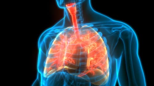 Longdenervatie (TLD) ook aangetoond effectief bij COPD