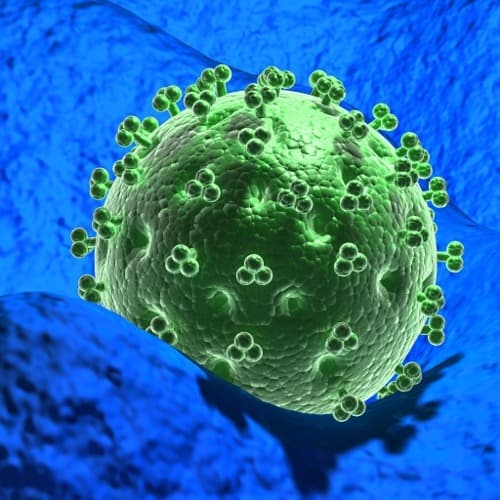 Influenza stimuleert tumorgroei van longadenocarcinoom