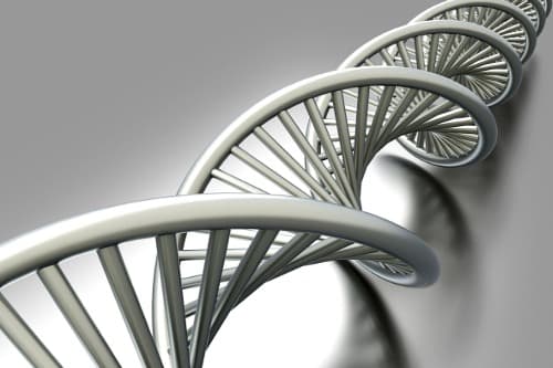 Nieuwe potentiële markers ontdekt voor vroege diagnose van reumatoïde artritis