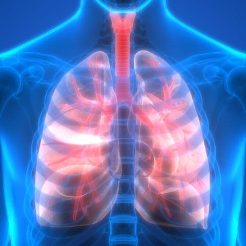 ATS 2020: Lagere mortaliteit opgenomen IPF-patiënten