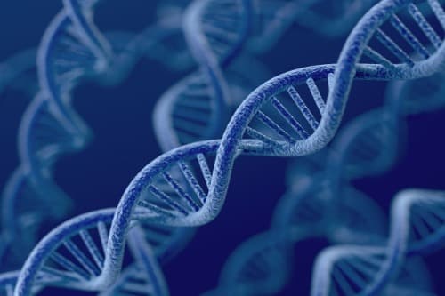 Verhoogd risico op kanker van endometrium bij mutatie in BRCA-genen