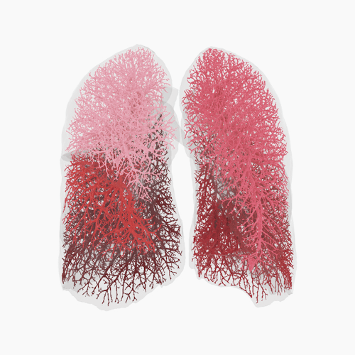 Umeclidinium-vilanterol geeft betere uitkomsten bij COPD en is duurzamer