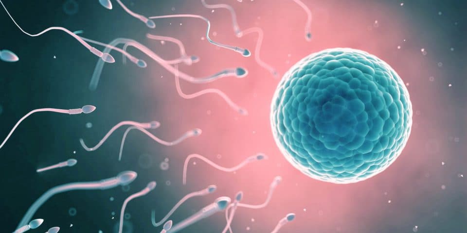 EULAR 2019: Let’s talk about sex in a rheumatology