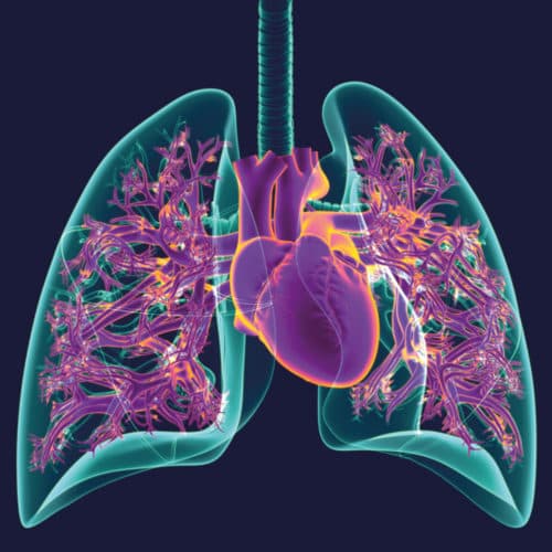 Meerdere longrevalidaties bij COPD lijkt niet zinvol, weinig bewijslast