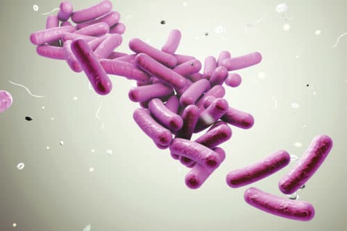 Behandeling longziekte door niet-tuberculeuze mycobacteriën vergt een lange adem